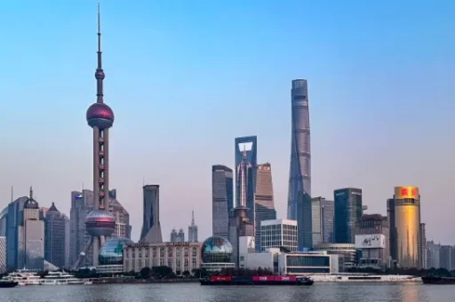 魔都周末宠物市集全攻略